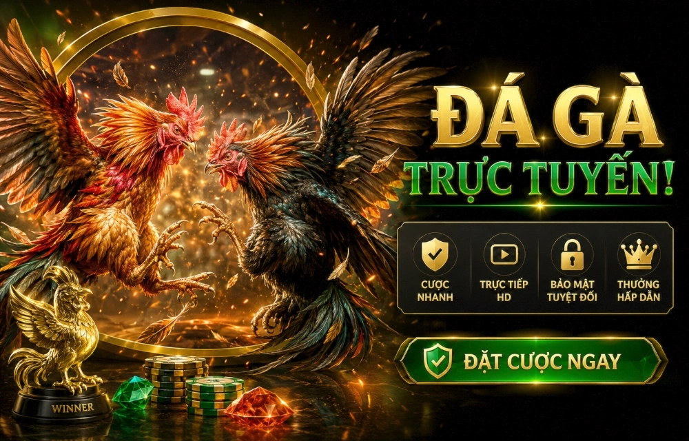 Cách bắt đầu tra cứu Tài khoản và truy cập trên BK88